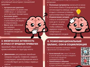 Семь столпов здорового мозга
